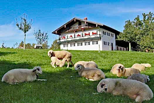 elr_attractions_openairmuseum_01_web.jpg