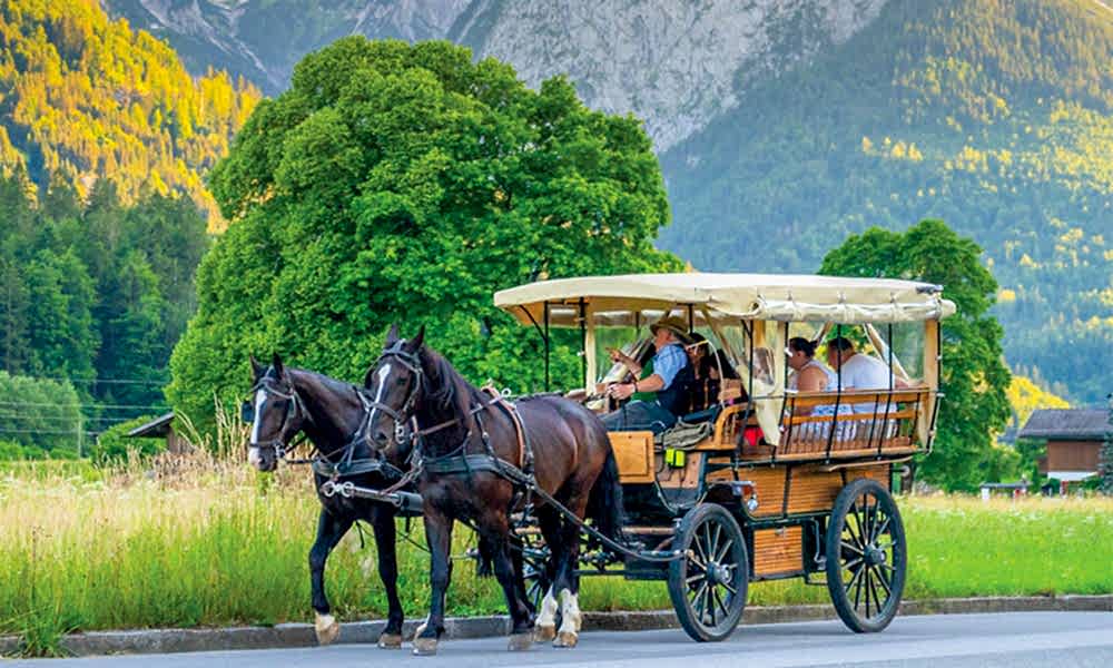 HorseandCarriage.jpg